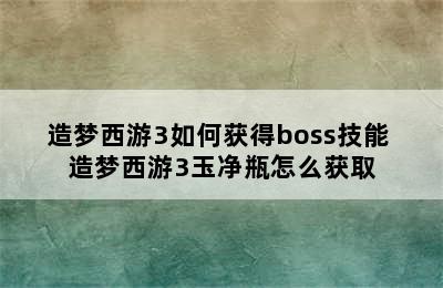 造梦西游3如何获得boss技能 造梦西游3玉净瓶怎么获取